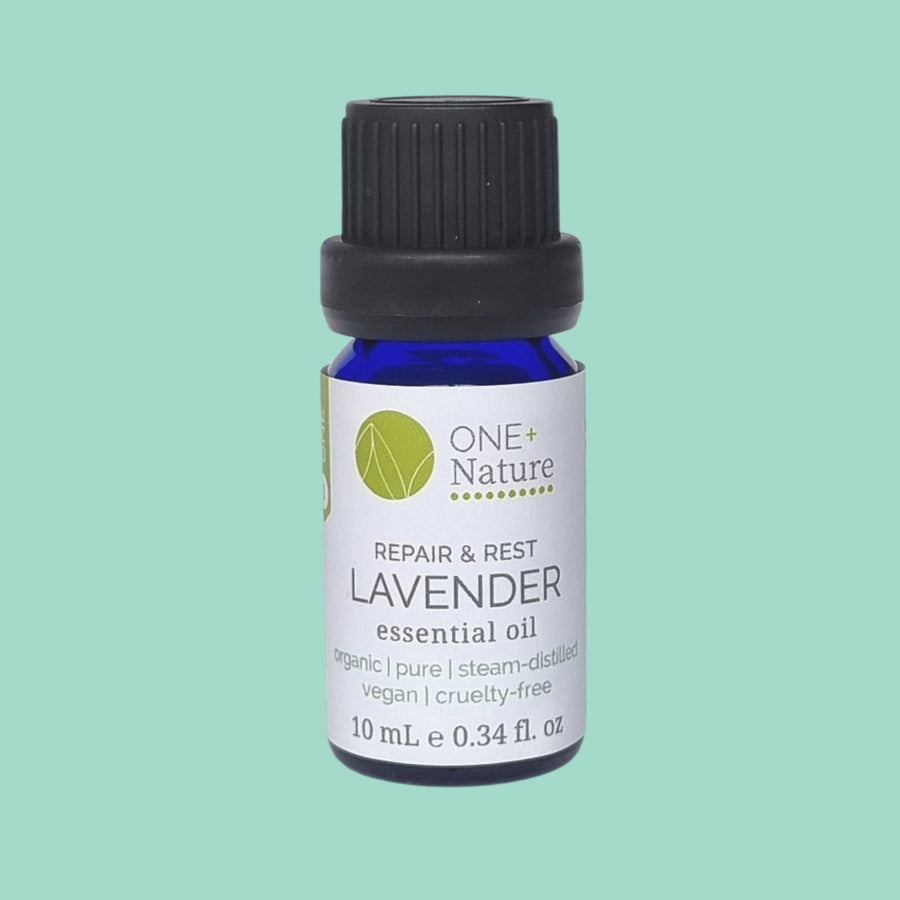 Lavender Essential Oil - Organic