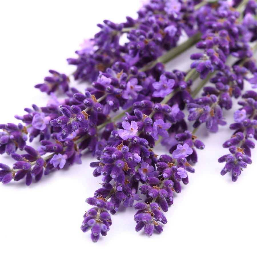 Lavender - Organic Floral Water